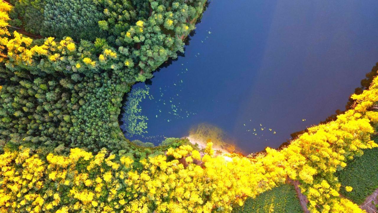 Over The River - Widok Na Rzeke, Przy Parku, Parking, Winda, Netflix I Max, Centrum Iława Εξωτερικό φωτογραφία
